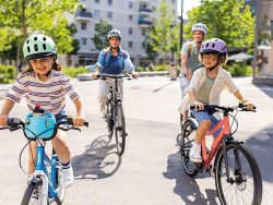 Donauradweg Familienradtour Passau-Linz