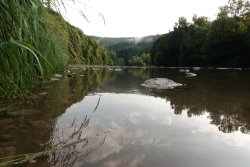 Wildnis-Tour Waldkarpaten, Polen