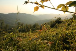 Wildnis-Tour Poloniny Nationalpark, Slowakei / Polen