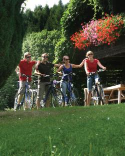 Donauradweg